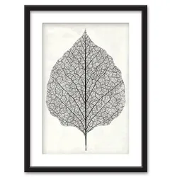 Framed Art