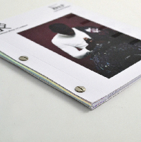 Screw Post - Black And White