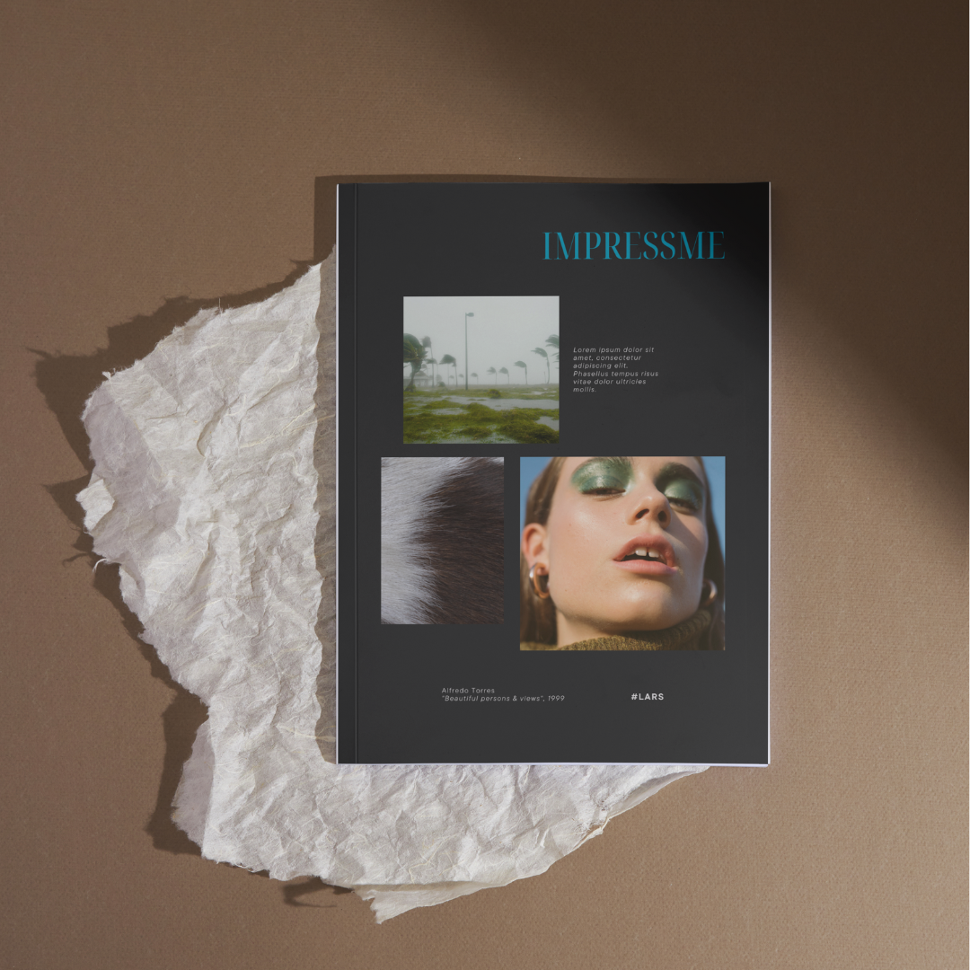 Fanzines impresas en papel couché y bond despacho todo Chile