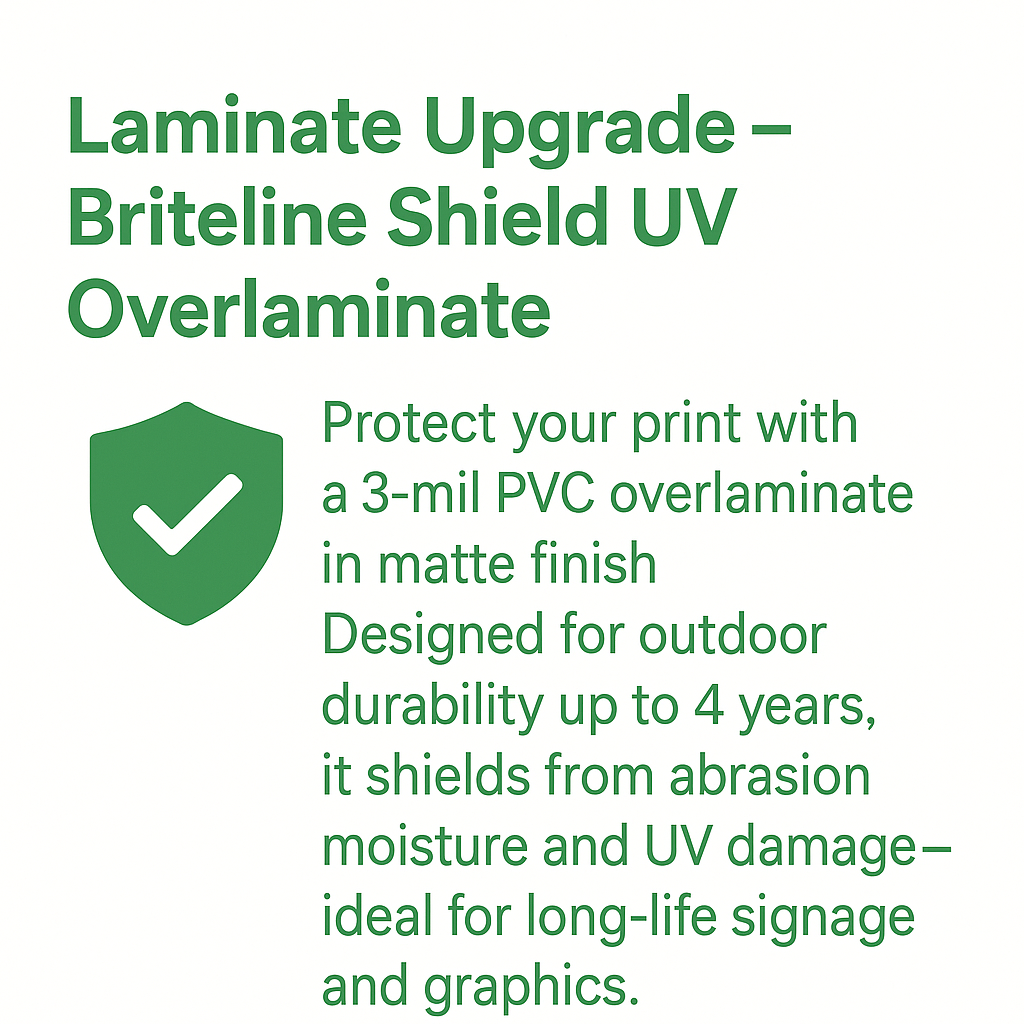 Vehicle Body Graphics 2