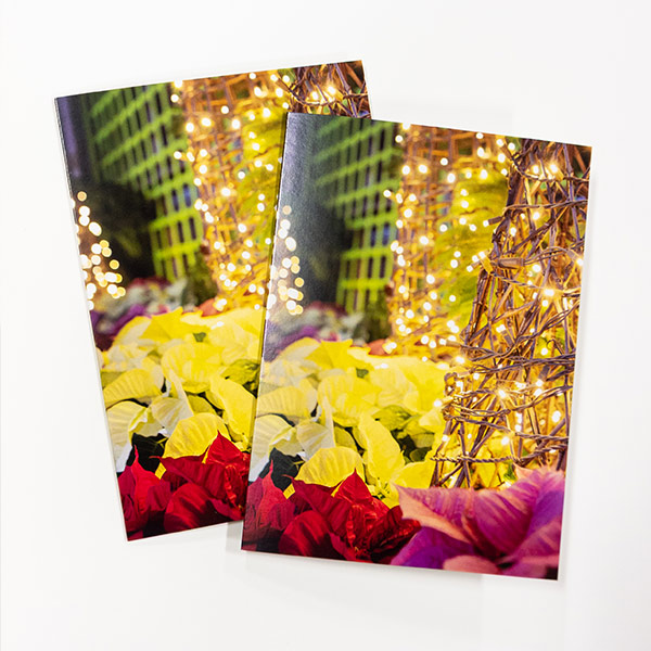 Greeting cards 2