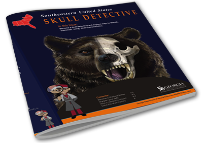 Saddle Stitch Booklet