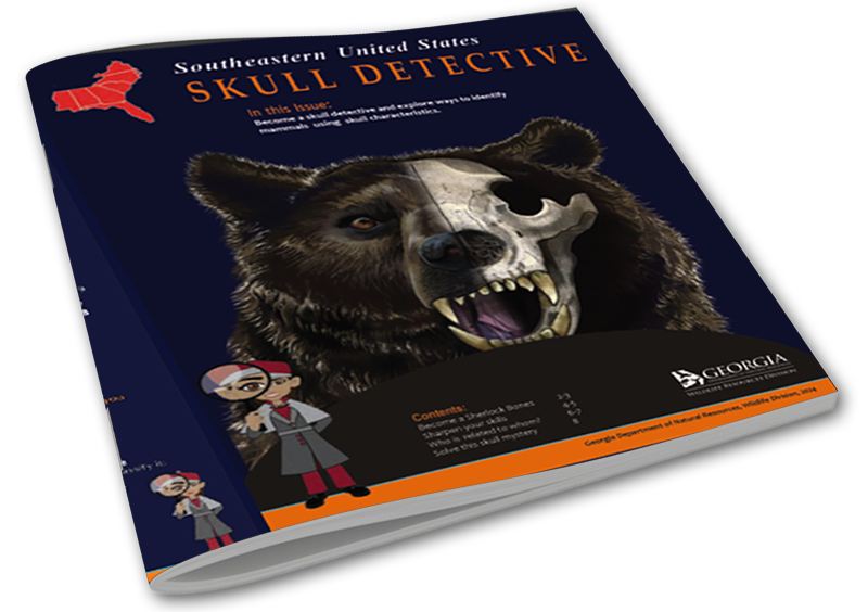 Saddle Stitch Booklets 1