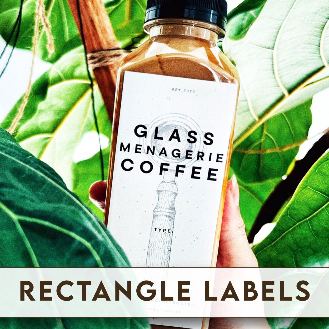 Rectangle Printed Labels