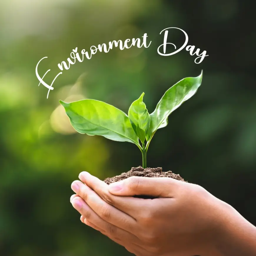 5 Eco-Friendly Swaps You Can Make Today for a Greener Tomorrow 5_Eco-Friendly_Swaps_You_Can_Make_Today_for_a_Greener_Tomorrow__HP_1749125486609.jpg