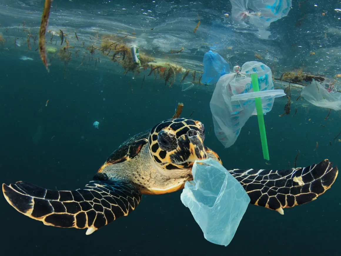 Reusable Travel Mugs or Tumblers