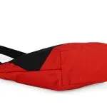 Large Tote - Ladybug 3