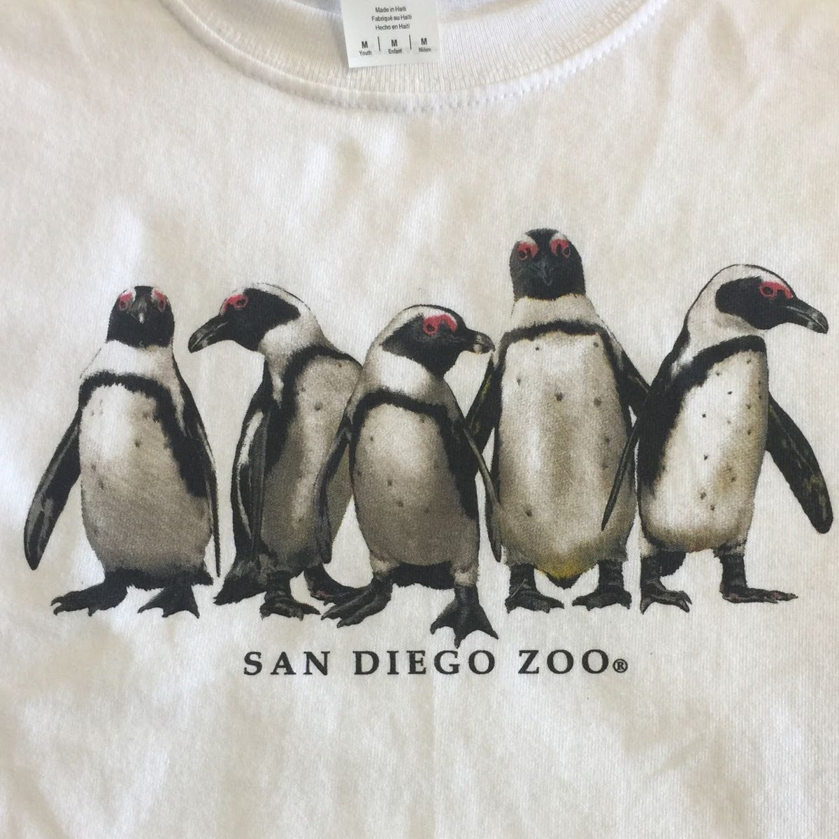T - Shirts & Apparel 3