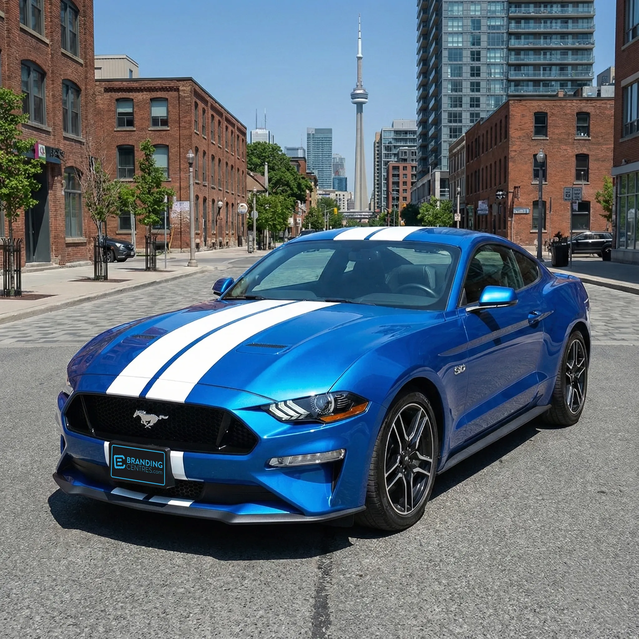 Car stripe wrap in Toronto for custom vehicle branding