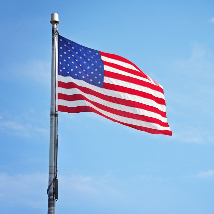 https://d2tl9ctlpnidkn.cloudfront.net/buildafla/images/product/printed-flag.png