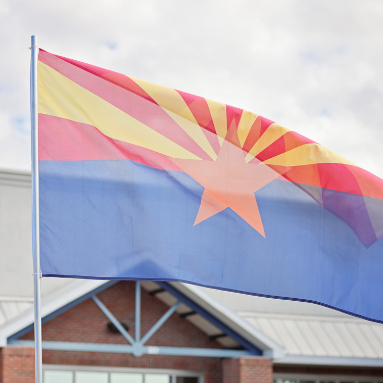 United States of America banner featuring 50 state flags, showcasing the diversity of state symbols and designs.