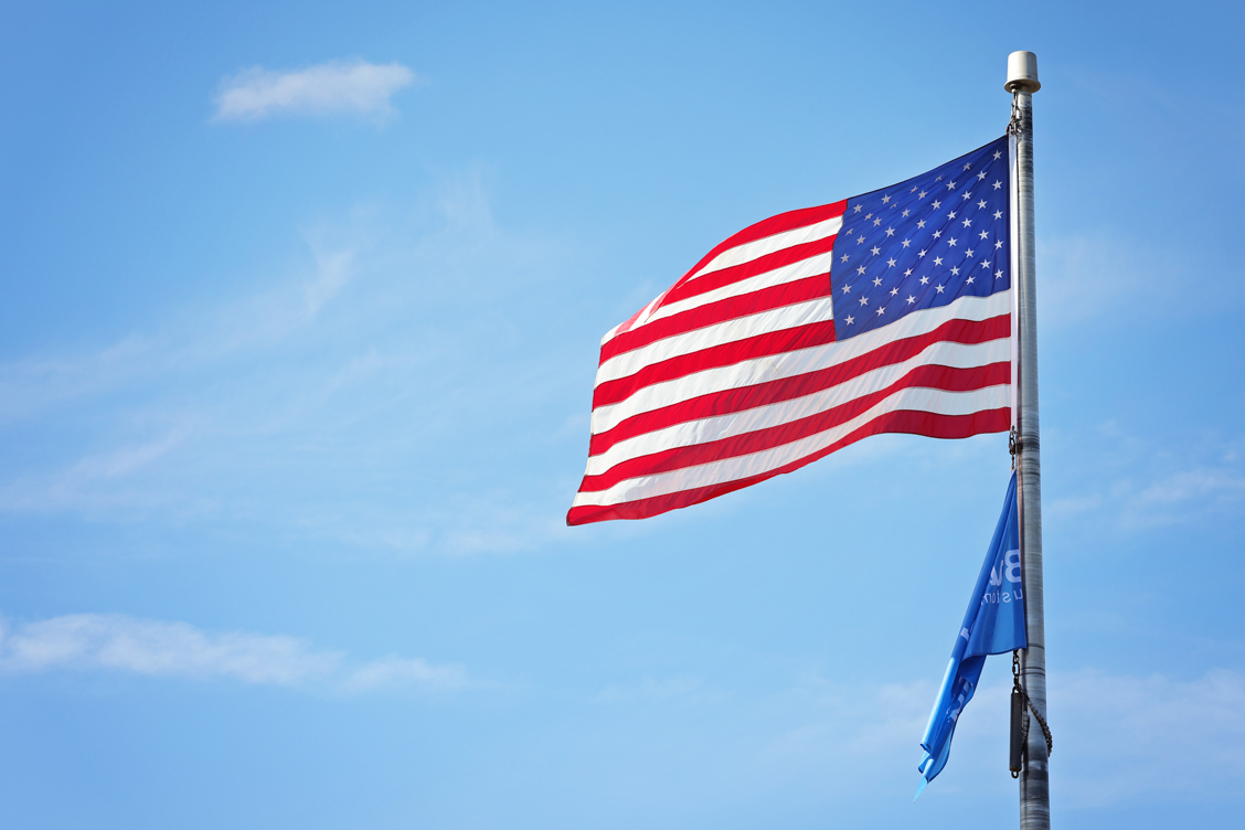 Horizontal Flag 2