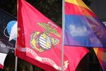 Horizontal Flag 11