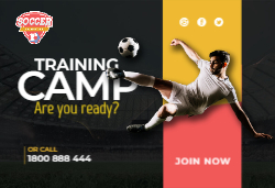 Visión del vinilo Frente