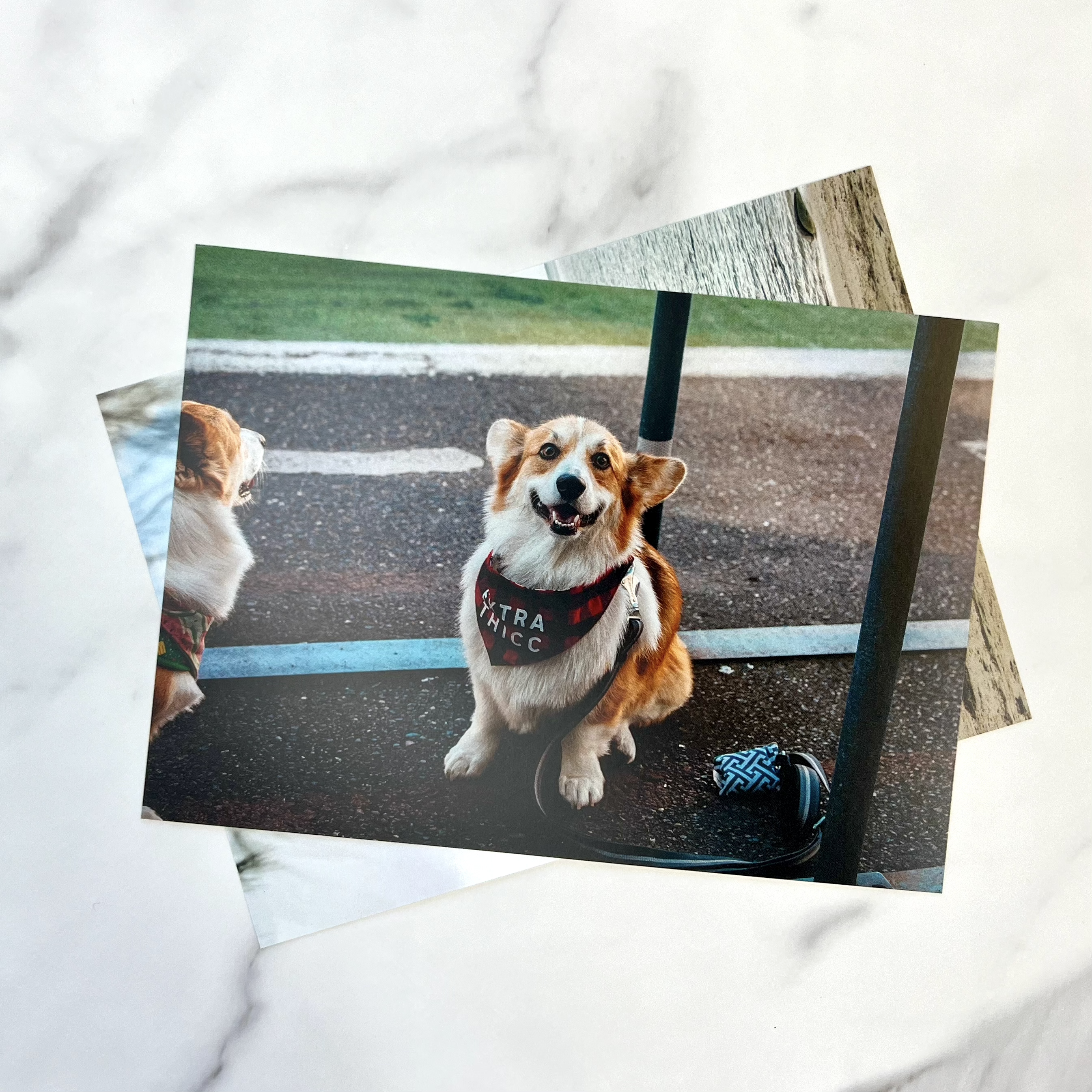 Category Standard Prints