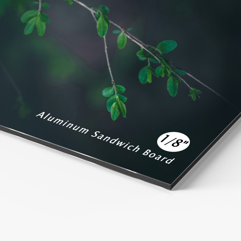 ACM Aluminum Composite