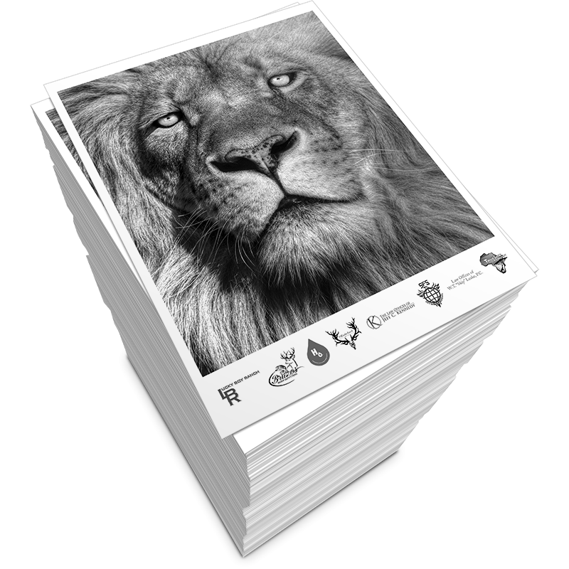 Black and White Copies