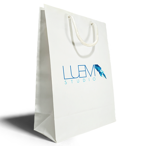 Shopping bag 9 x 12.5  x 4