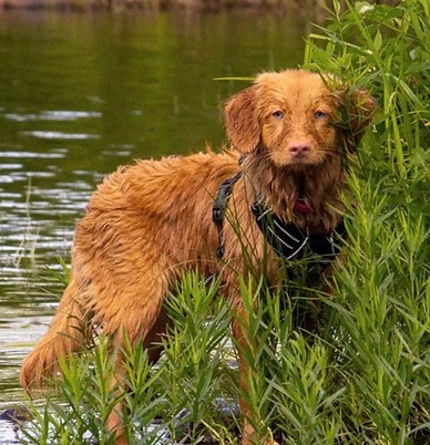 Léa Bissonnette-Gingras