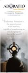 Vinyl Banners (Vertical) 5
