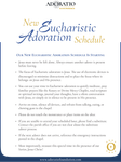 New Schedule 2