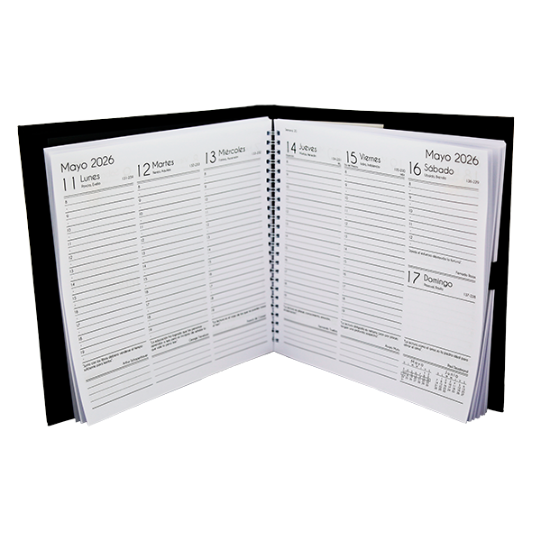 agendas ejecutivas
