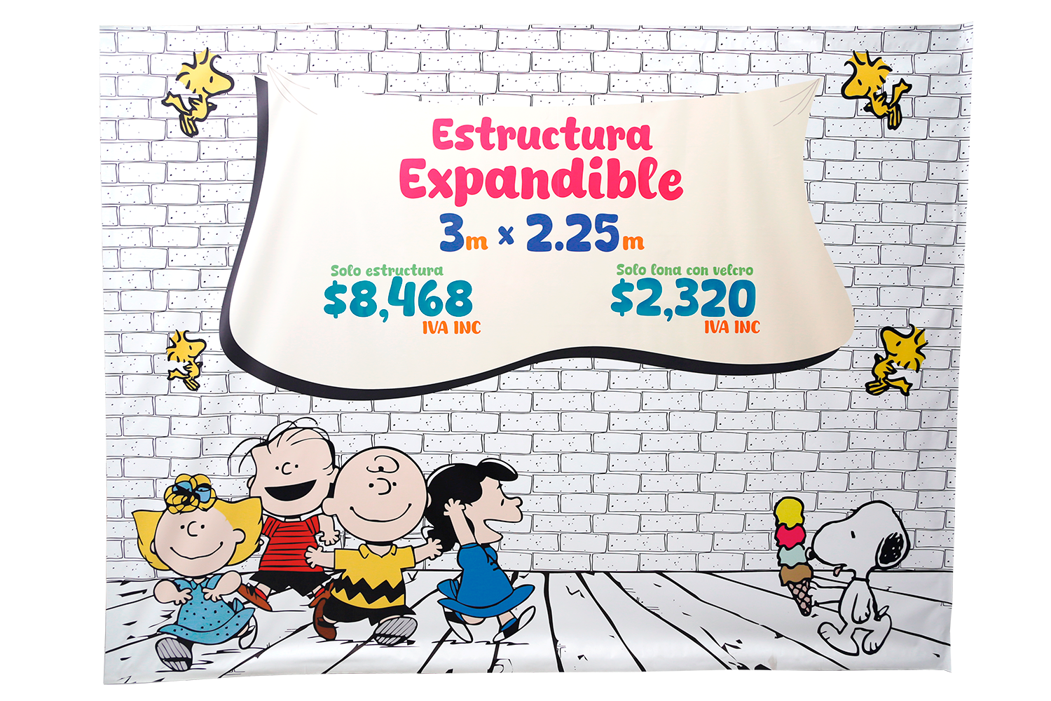 Lona con estructura expandible 1