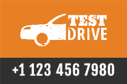 Guerrero de la carretera