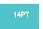 14pt