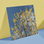 Blooms-Greeting-Card
