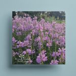 Flowers-Greeting-Card