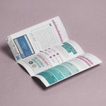 Brochure-C-Fold-Salon