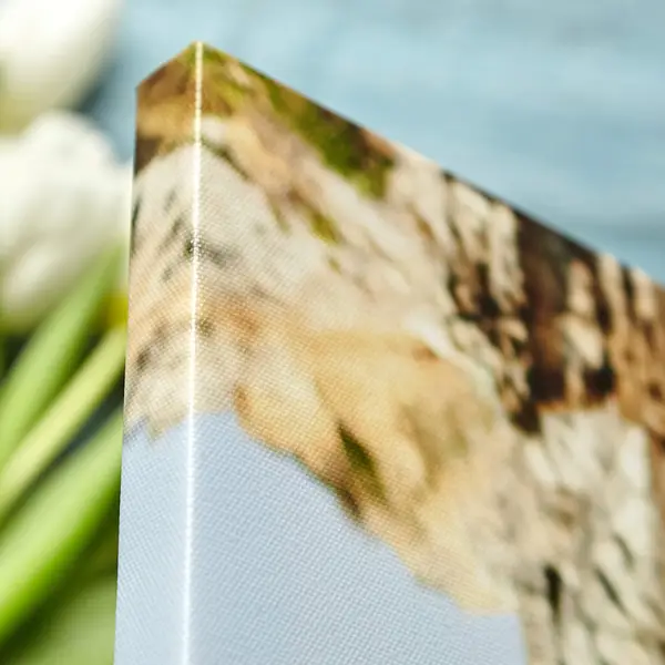 Canvas 5