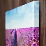 Canvas 3