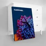 Canvas 1