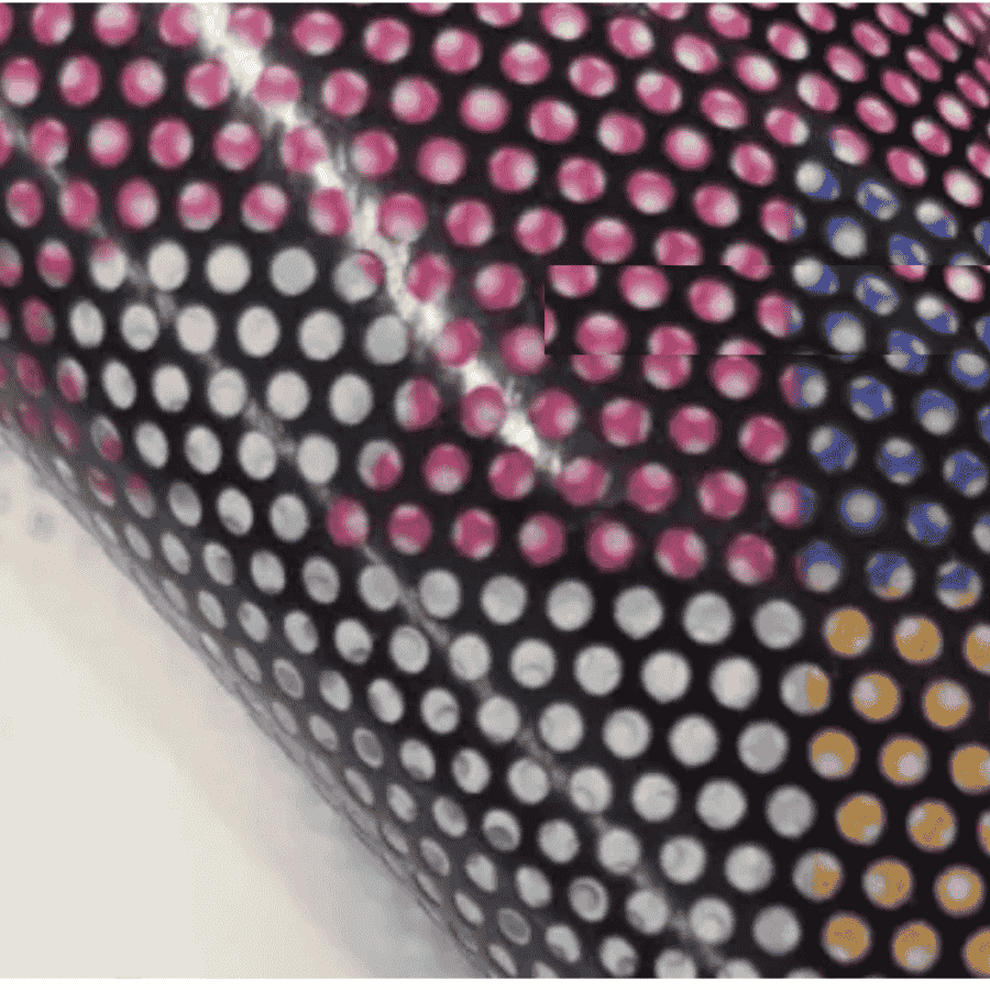 Mesh Vinyl-Same Day 2