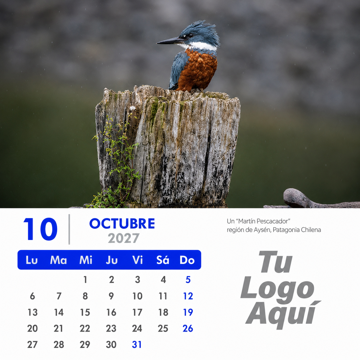 Calendario 2027 Personalizado 11