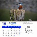 Calendario 2027 Personalizado 11