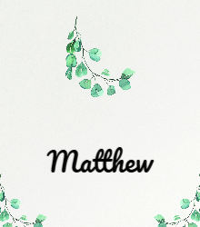 Name Card - Folded - Eucalyptus
