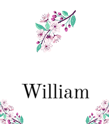 Name Card - Folded - WhitePinkFlowers