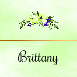 Name Card - Folded - PurpGreen