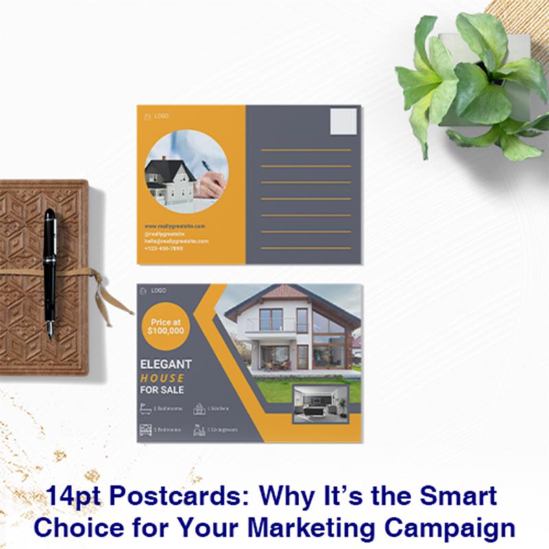 14pt_Postcards_-_Why_It_s_the_Smart_Choice_for_Your_Marketing_Campaign___2__2x_1756788220972.jpg