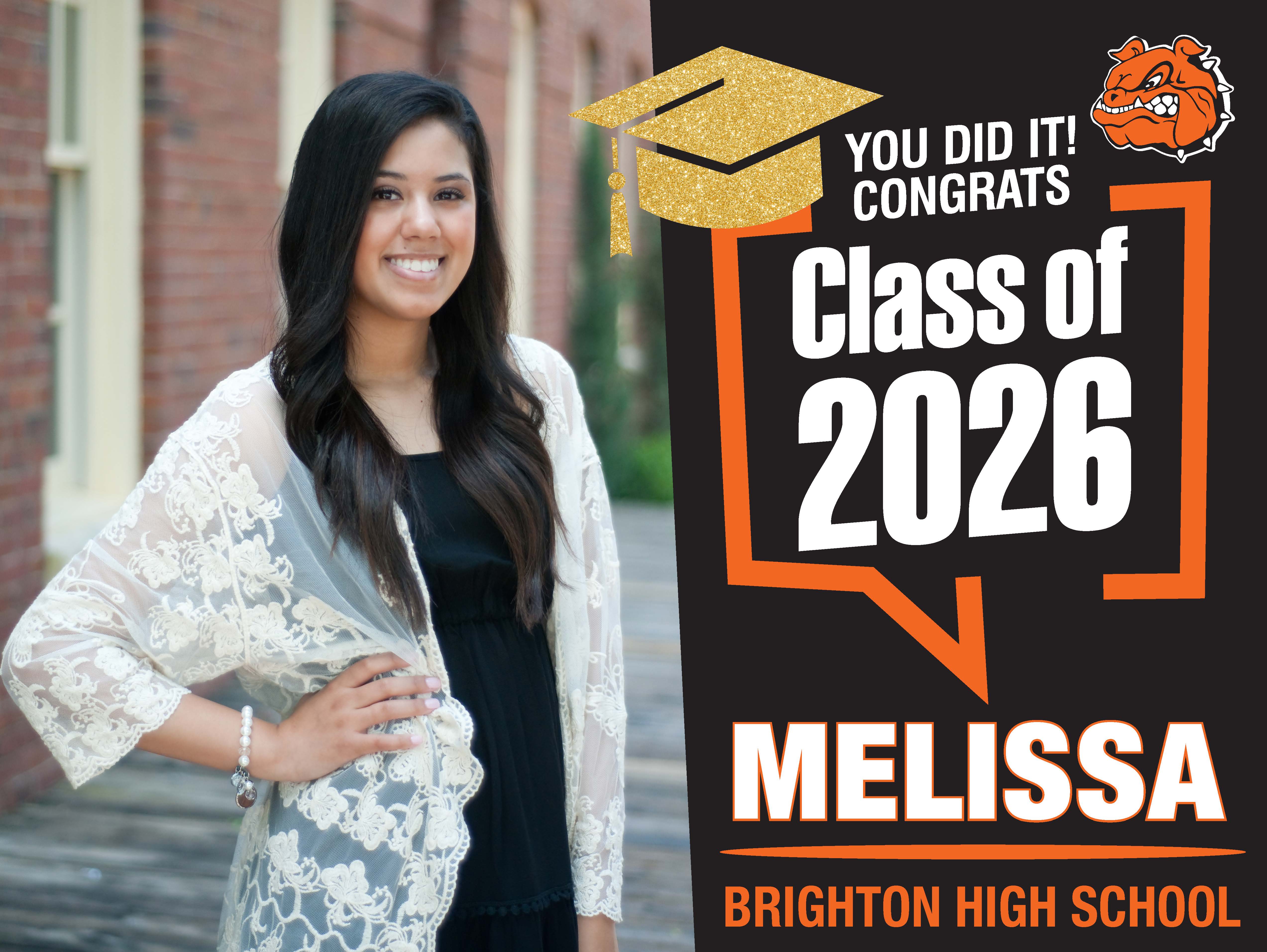 Brighton Senior Signs