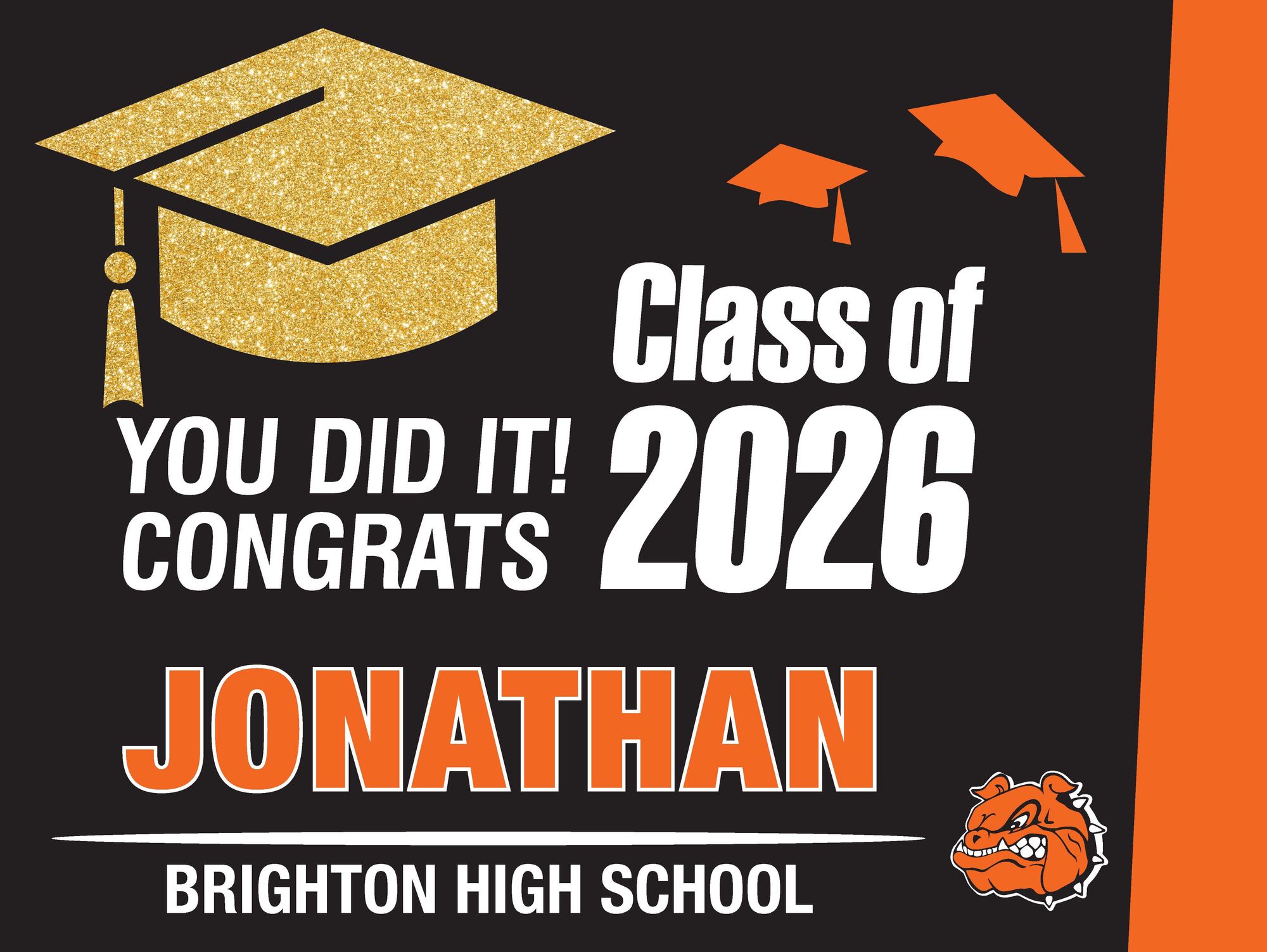 Brighton Senior Signs 2