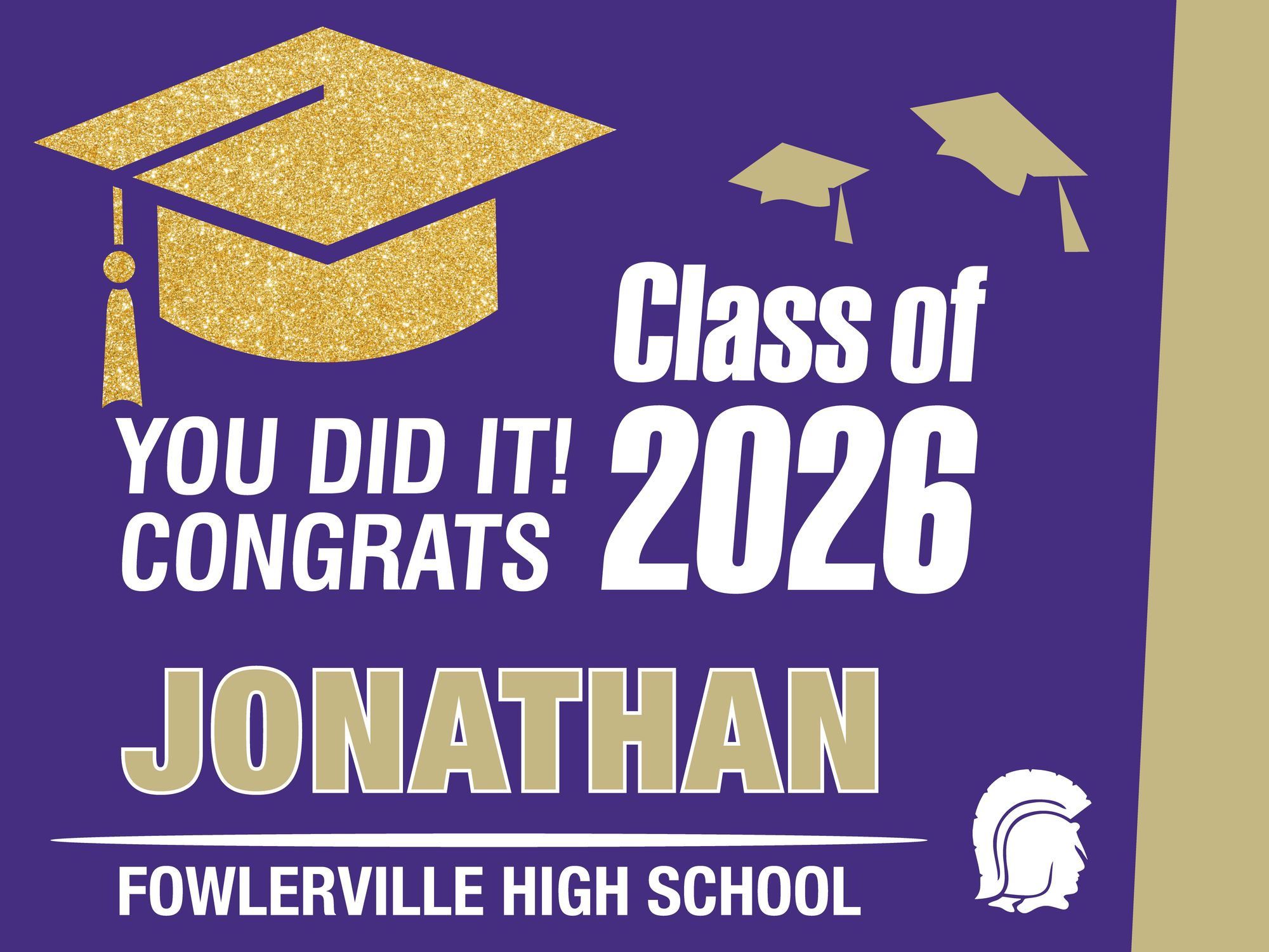 Fowlerville Senior Banners 2
