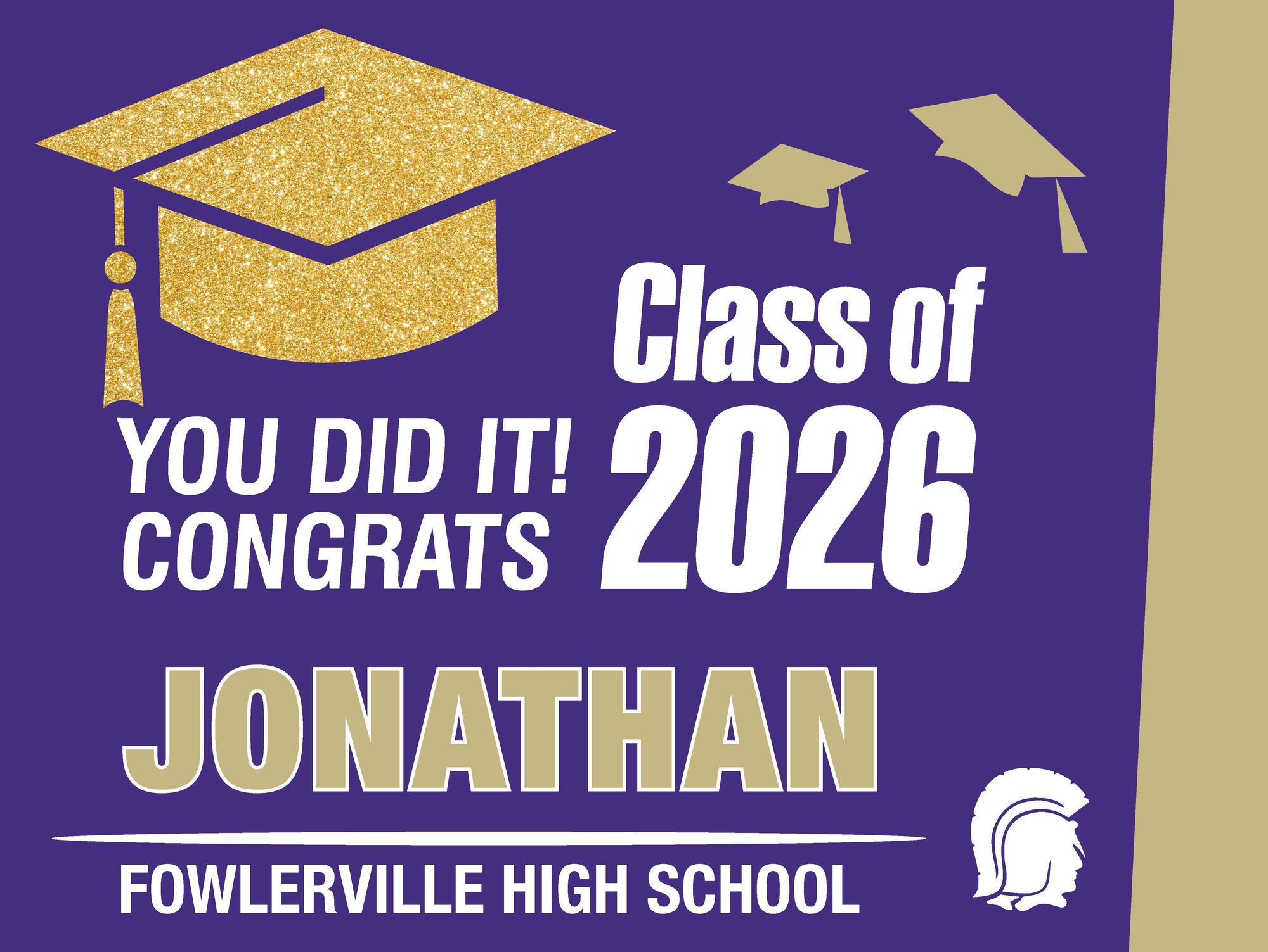 Fowlerville Senior Signs 2