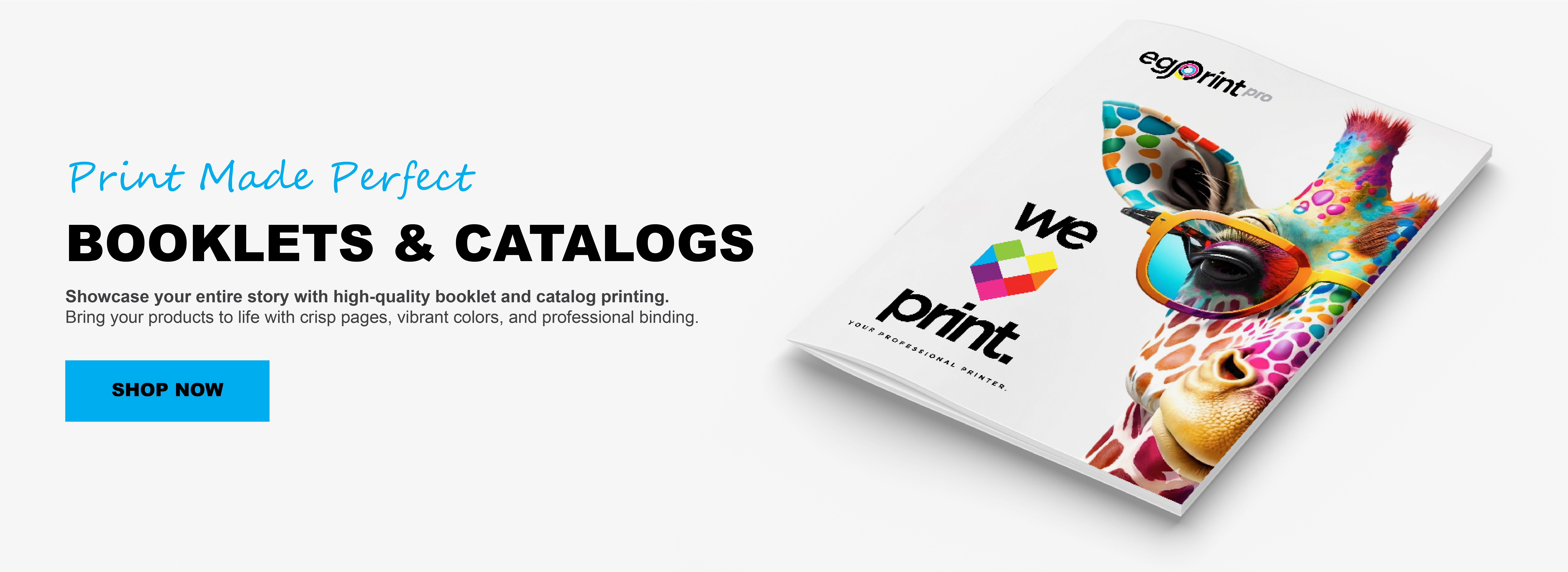 Catalogs
