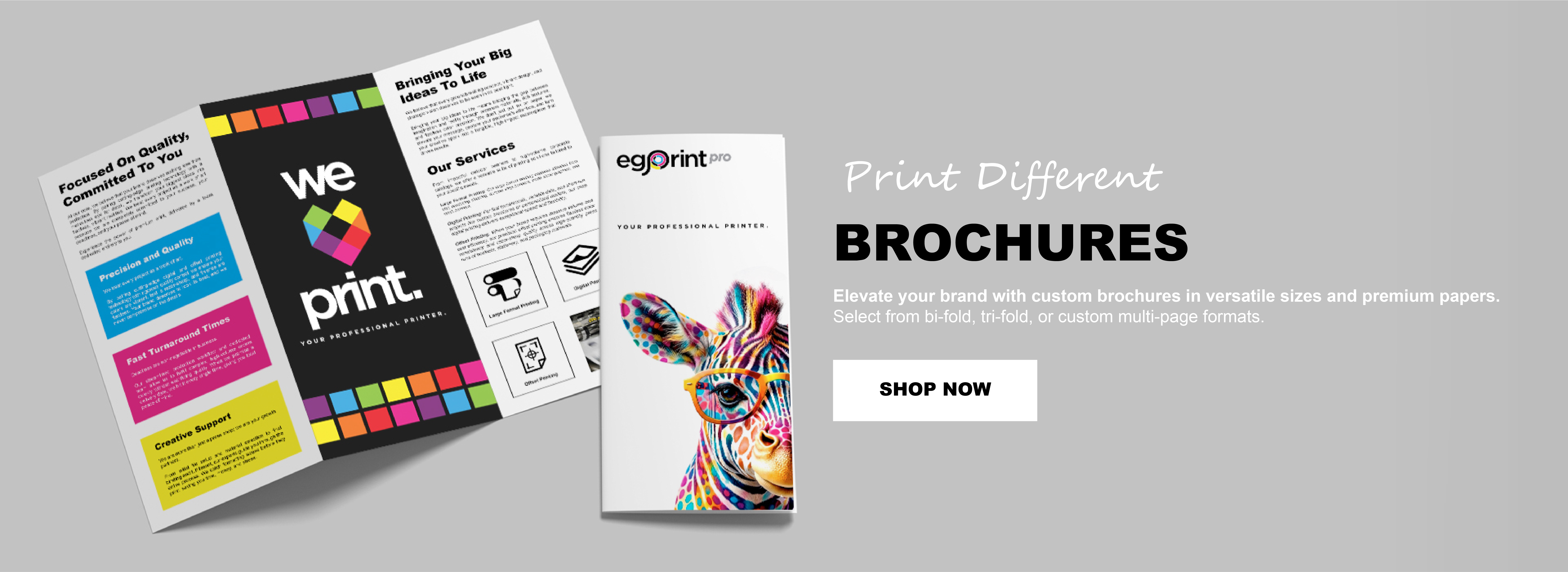 Brochures