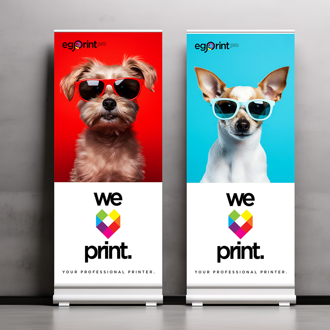 https://d2tl9ctlpnidkn.cloudfront.net/egprintpr/images/product/egpro-standing-banners.jpg
