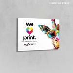 Pancartas para letreros de jardín 3